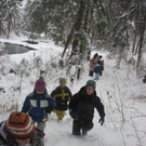 kleinste Tannenbaum 105.JPG