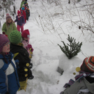 kleinste Tannenbaum 108.JPG