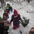 kleinste Tannenbaum 109.JPG