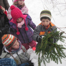 kleinste Tannenbaum 110.JPG