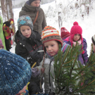 kleinste Tannenbaum 114.JPG