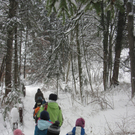 kleinste Tannenbaum 118.JPG