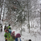 kleinste Tannenbaum 119.JPG
