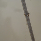 DSC04574.JPG