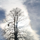 IMG_2685_jpg-1325602363