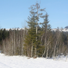 IMG_2697_jpg-1325602405