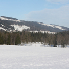 IMG_2701_jpg-1325602425