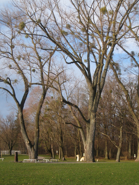 Spaziergang Lochau _4__jpg-1325655636