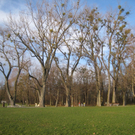Spaziergang Lochau _5__jpg-1325655642