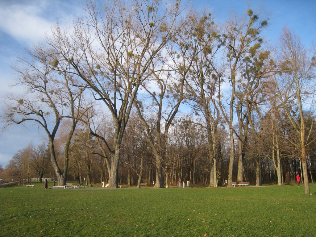Spaziergang Lochau _5__jpg-1325655642