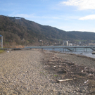Spaziergang Lochau _17__jpg-1325655695
