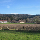 Spaziergang Lochau _24__jpg-1325655730