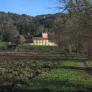 Spaziergang Lochau _25__jpg-1325655736