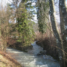 Spaziergang Lochau _26__jpg-1325655743