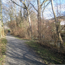Spaziergang Lochau _29__jpg-1325655764