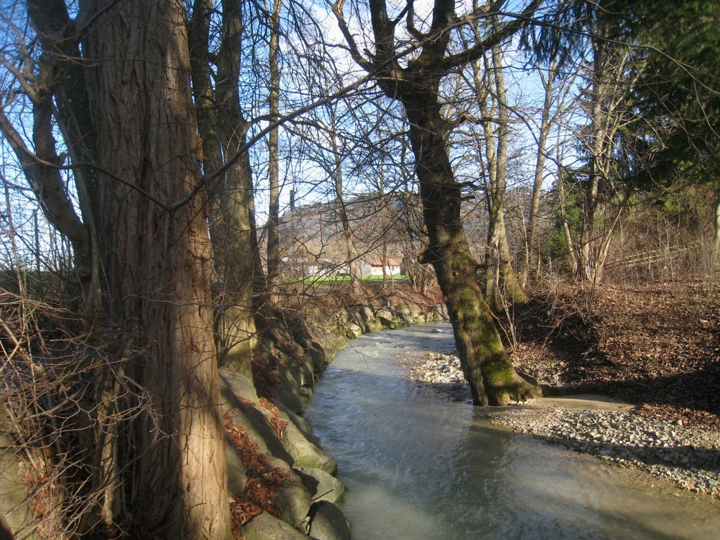 Spaziergang Lochau _28__jpg-1325655756