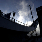 DAB0973-20120103.jpg
