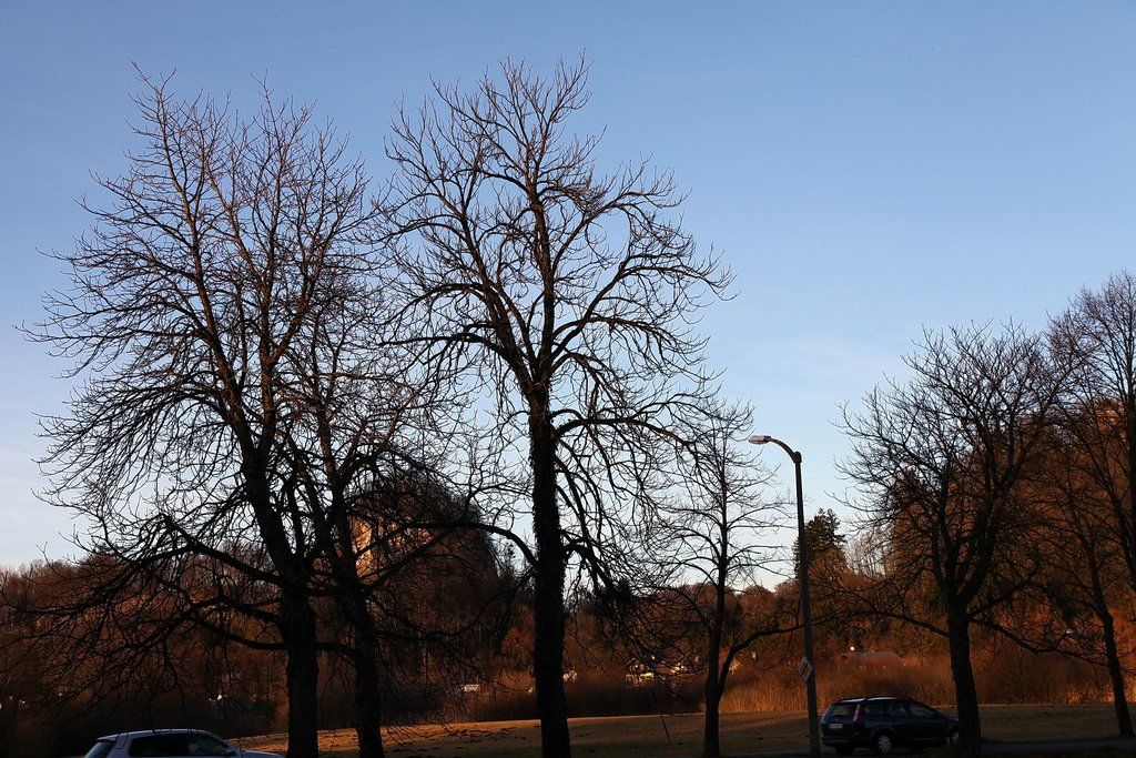 03012012fmt_vordemsturm_mw_03.JPG