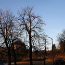 03012012fmt_vordemsturm_mw_03.JPG