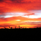 03012012wolkende_01_006aktivnews13.JPG