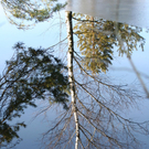 03012012Spiegelungende_01_006aktivnews10.JPG