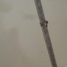 DSC04574.JPG