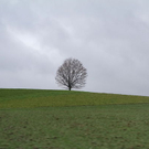 normal_04012012fmt_wetterimpressionen_ta_004.JPG