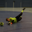04012012fmt_salzburgerstierIII_ta_003.JPG