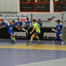 04012012fmt_salzburgerstierIII_ta_006.JPG