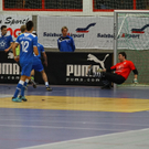 04012012fmt_salzburgerstierIII_ta_008.JPG