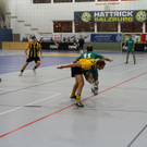 04012012fmt_salzburgerstierIII_ta_018.JPG