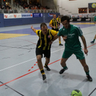 04012012fmt_salzburgerstierIII_ta_020.JPG
