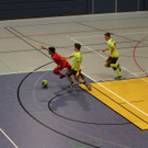 04012012fmt_salzburgerstierIII_ta_023.JPG