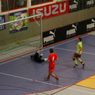 04012012fmt_salzburgerstierIII_ta_025.JPG
