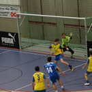 04012012fmt_salzburgerstierIII_ta_031.JPG