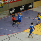 04012012fmt_salzburgerstierIII_ta_032.JPG