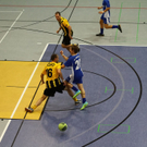 04012012fmt_salzburgerstierIII_ta_035.JPG