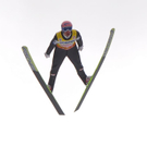 normal_04012012innsbruckat04002aktivnews056.JPG