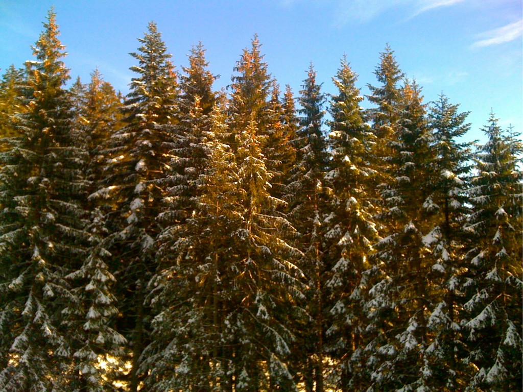 BK_skigebiet_laterns 9_jpg-1325769567