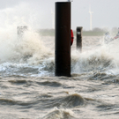 ABD0020-20120105.jpg