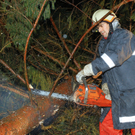 Schlins: Baum versperrt Straße