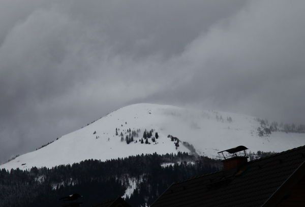 normal_05012012fmt_sturmandrea_mw_01.jpg