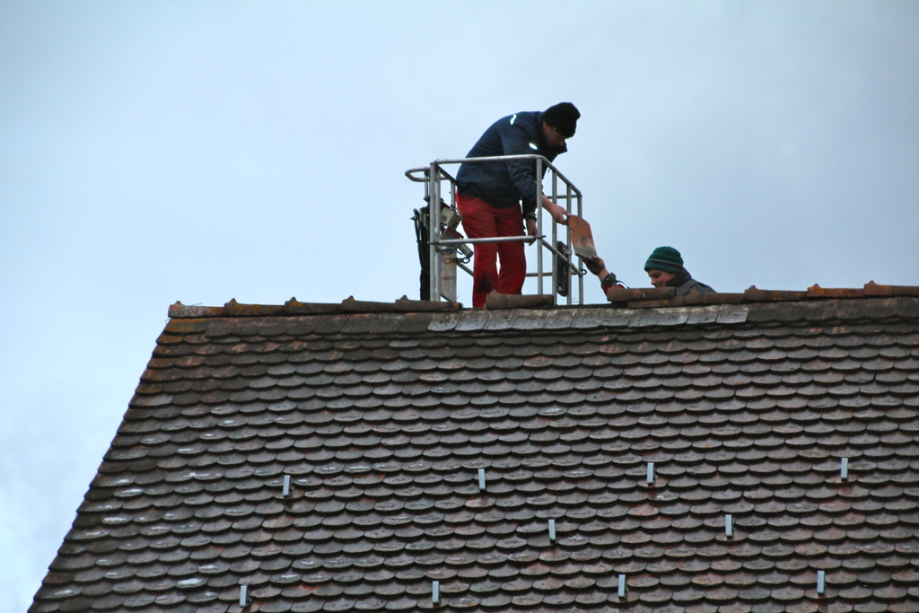 IMG_0433_JPG-1325844991