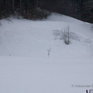 Orkanschaeden-010.jpg