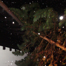 DSC04603.JPG