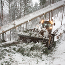 Sturm Andrea_Schurns68.JPG