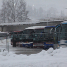 060111skispringengmaktivnews23.JPG