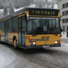 060111skispringengmaktivnews02.JPG