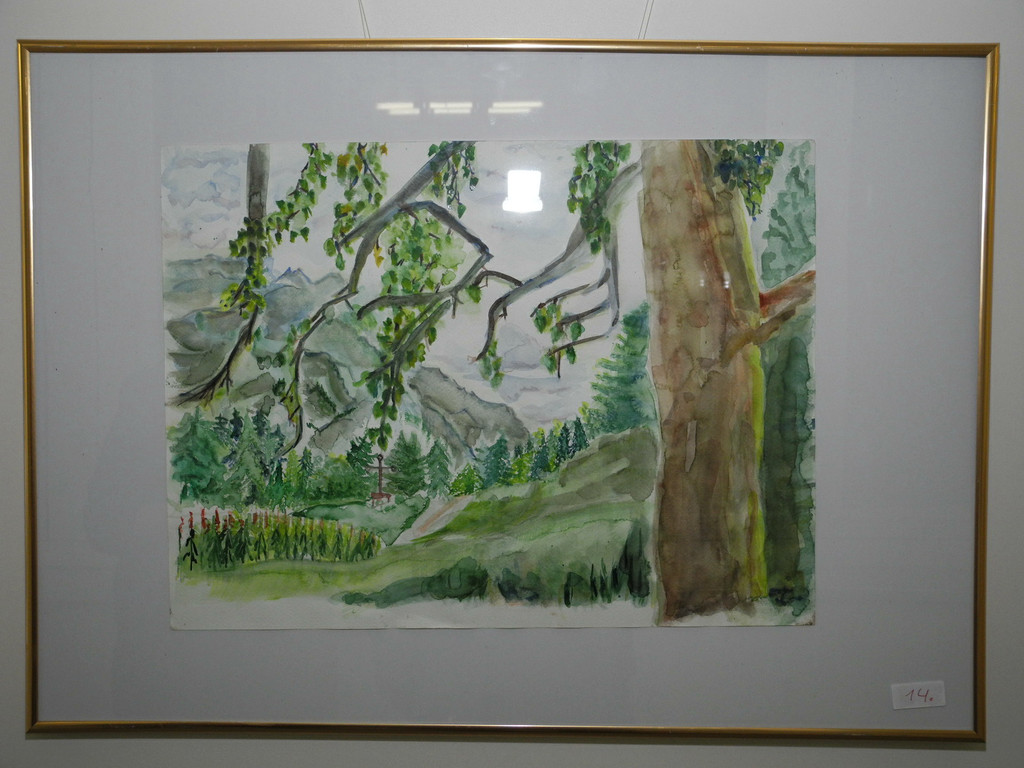 DSCN9219_jpg-1325863749