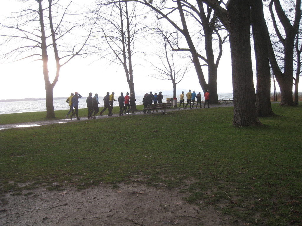 Dreik__nig LAUF am See 2012 _17__jpg-1325867607